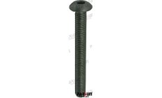 Parafuso M4x35 (PAGB/T70.2-M4X35)Parafuso M4x35 conforme norma PAGB/T70.2 para equipamento náutico e motores marinhos. Material 