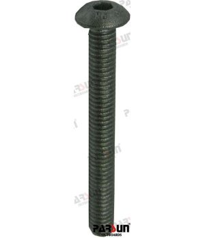 Parafuso M4x35 (PAGB/T70.2-M4X35)Parafuso M4x35 conforme norma PAGB/T70.2 para equipamento náutico e motores marinhos. Material 