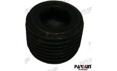 SPRING, PISTON