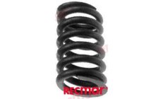 VALVE SPRING
