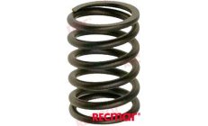 VALVE SPRING