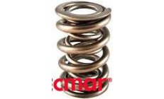 VALVE SPRING