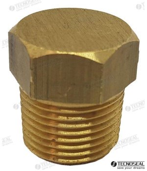 Tappo in Bronzo con Anodo Onan (TEN02031TP)Tappo in bronzo con anodo di protezione per generatori Onan. Previene la corrosione g