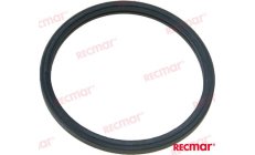 THERMOSTAT GASKET