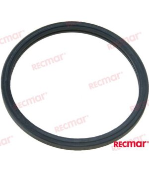 THERMOSTAT GASKET