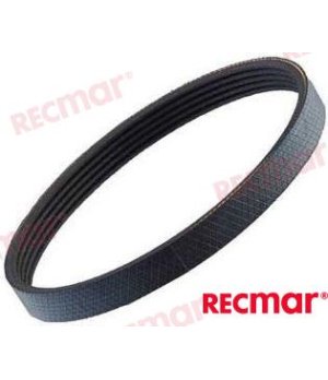 Cinghia di Trasmissione (REC25132-003000)Cinghia di trasmissione affidabile per motori marini. Componente essenziale per garanti