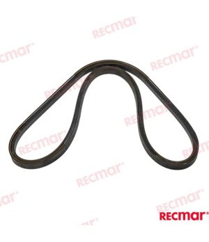 Cinghia Marina (REC25132-004250E)Cinghia marina resistente per motori fuoribordo. Materiali robusti e affidabili per prestazioni