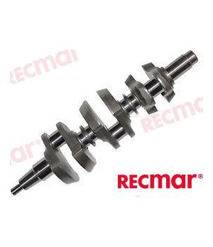 Albero Motore (REC493-827616T1)Albero motore robusto e resistente alla corrosione per motori fuoribordo. Trasmissione affidabile