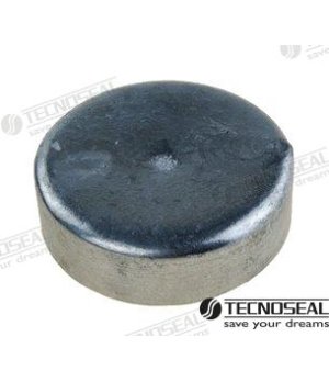 Anodo Disco Zinco Ø70 mm (TEN20101)Anodo disco in zinco Ø70 mm per protezione catodica di motori marini e scafi. Protezione affi