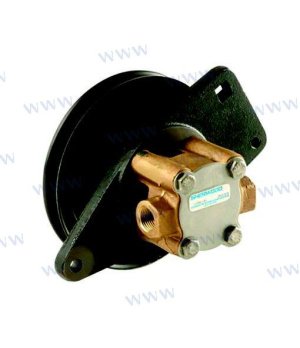 ONAN SEA WATER PUMP