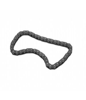 CADENA DISTRIBUCION 4.3 V6 17161T