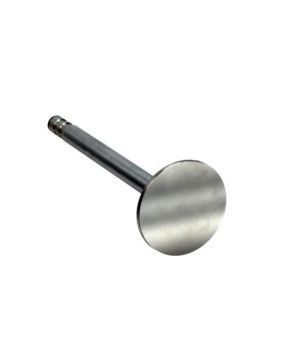 VALVE: INTAKE 350