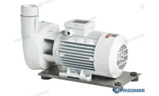 Pompa Acqua Salata B-C(M) 41/1E 0,75 kW (FRI714)Pompa professionale per acqua salata 0,75 kW, ideale per sistemi di raffreddamen