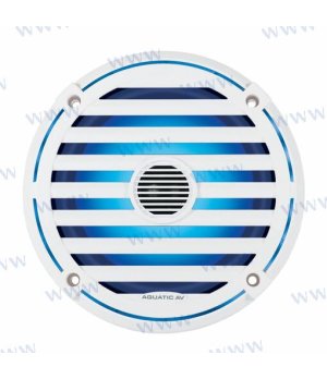 CAISSON DE GRAVES 10" ELITE BLANC