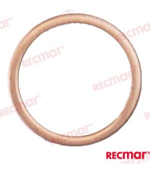 Rondella (REC947622)Rondella di qualità marina per motori fuoribordo e componenti nautici. Resistente alla corrosione e pronta a