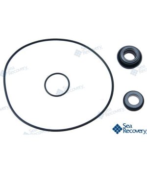 DICHTUNGSSATZ BOOSTER PMP N200