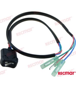INTERRUPTOR TRIM