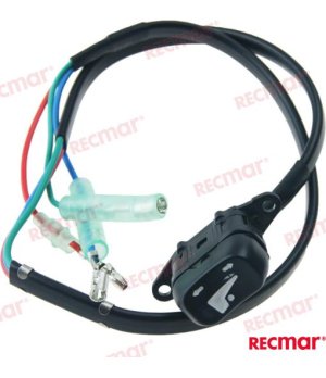 INTERRUPTOR TRIM