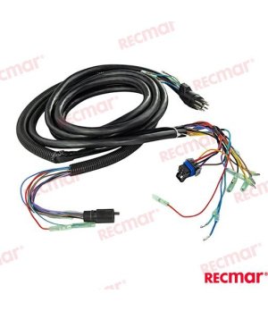 KABELBAUM NICHT TRIM 8PIN 15FT