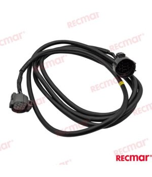 CABLE (MULTI 10FT)