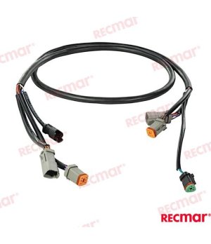 EXTENSION ARNES 5FT