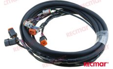 ARNES ELECTRICO 10