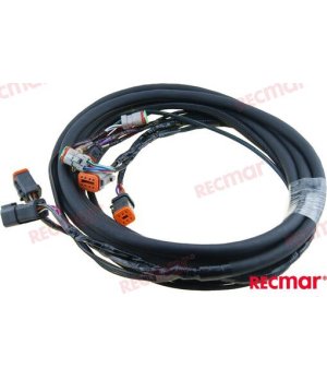 ARNES ELECTRICO 10