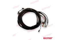 CABLE DE ARN 176339