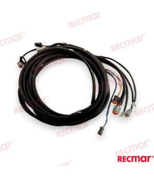CABLE DE ARN 176339