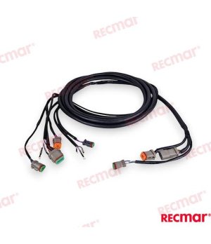 CABLE DE ARN