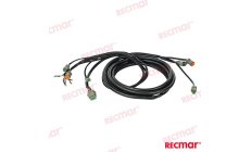 CABLE DE ARN 176341