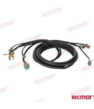 CABLE DE ARN 176341