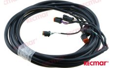 EXTENSION ARNES 20