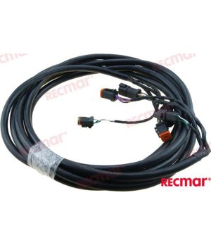 EXTENSION ARNES 20