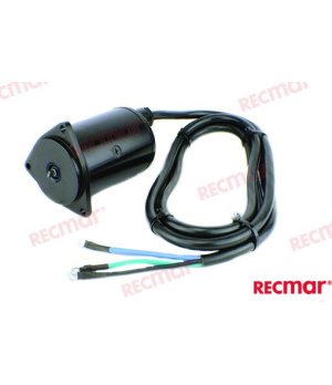 MOTOR TRIM