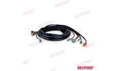 CABLE DE ARN