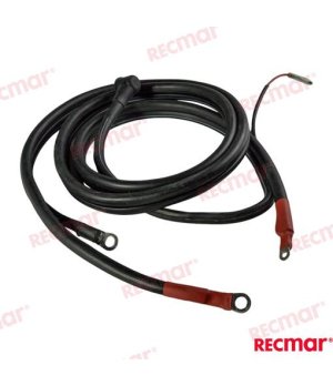 CABLE DE BATERIA 2,5M