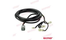 Cavo Assemblaggio Pannello Indicatore 20ft (REC32580-ZVL-900)Cavo assemblaggio per pannello indicatore da 20 piedi. Componente a