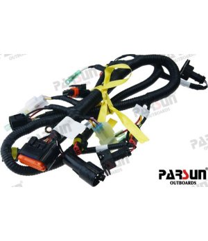EBM ECU STARTER HARNESS