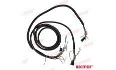 Telecomando Singolo 15FT PTT 8 Pin (REC8M0103452)Telecomando singolo marittimo da 15 piedi con connettore PTT 8 pin. Affidabile 