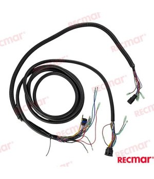 Telecomando Singolo 15FT PTT 8 Pin (REC8M0103452)Telecomando singolo marittimo da 15 piedi con connettore PTT 8 pin. Affidabile 