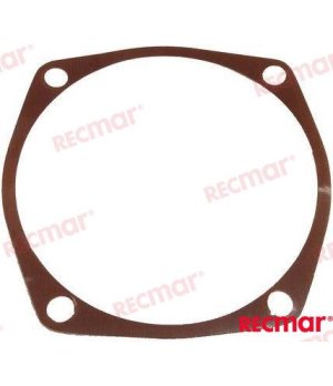 Suplemento para Motor de Popa (REC313206)Suplemento protector para motores de popa. Melhora a lubrificação e prolonga a vida úti