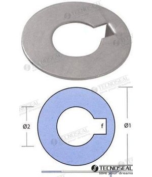 Rondella Inox Radice Asse 60 (TEN00417R)Rondella in acciaio inox Radice per asse 60, resistente alla corrosione marina e ideale 