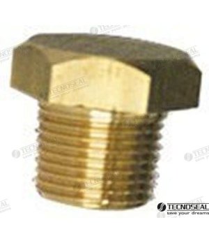 Rolha de Ânodo Yanmar (TEN01316TP)Rolha de ânodo original Yammer para protecção catódica contra corrosão em motores náuticos.