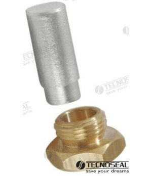 ANODE RENAULT AVEC FICHE
