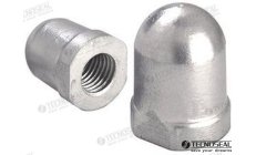 ANODE RENAULT 40mm.