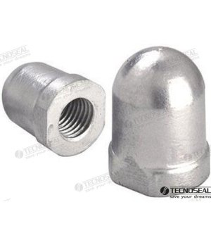 Ânodo Renault 40mm (TEN01803)Ânodo de sacrifício Renault 40mm para protecção contra corrosão em motores de popa. Qualidade premi