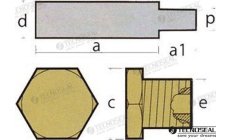 Anodo di Raffreddamento AIFO con Tappo (TEN02013T)Anodo di raffreddamento originale AIFO con tappo per proteggere il circuito di