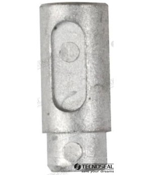 FORD ANODE