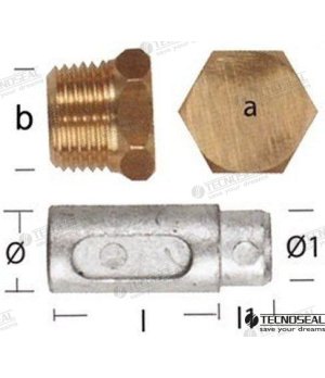 Ânodo Lombardini com Tampa (TEN02350T)Ânodo de sacrifício Lombardini com tampa para proteção contra corrosão em motores náuticos